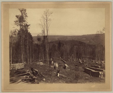Rastende Waldarbeiter während der Aufräumarbeiten nach der Schneedruckkatastrophe von 1895.