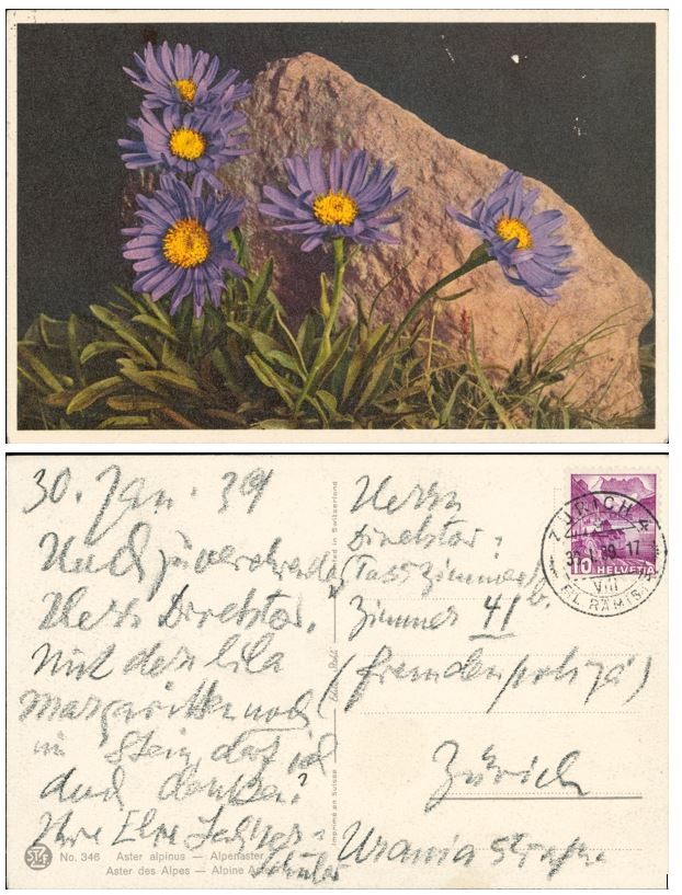 Postkarte Else Lasker-Schüler
