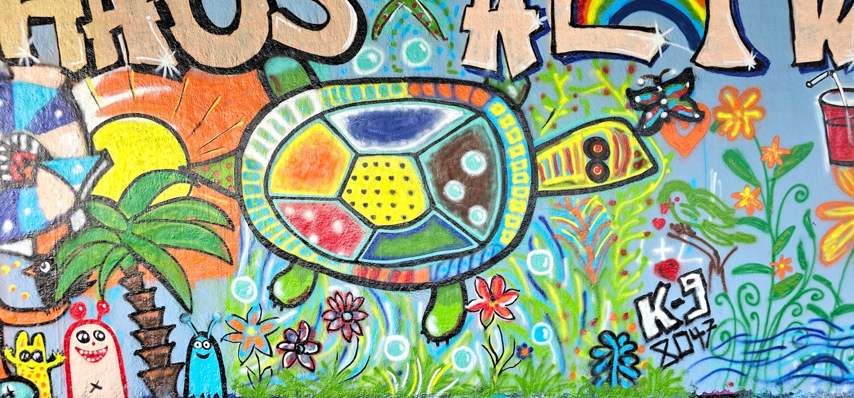 Vollbild_Graffiti_Schildkroete