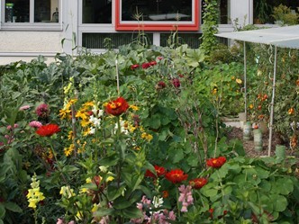 Schülergarten