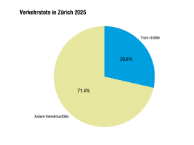 Kuchendiagramm über Verkehrstote