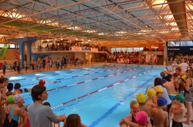 Schwimmerbecken im Hallenbad Altstetten mit Teilnehmenden und Zuschauenden