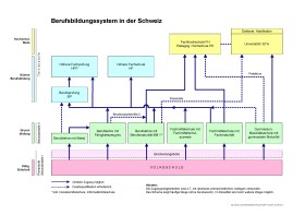 Organigramm des Berufsbildungssystem in der Schweiz