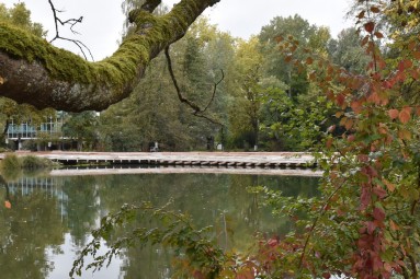 Das Bild zeigt die hölzerne Kawamata-Brücke über dem Teich im Zellweger Park in Uster. 
