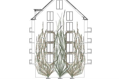 Die Skizze zeigt ein fünfstöckiges Gebäude mit Vertikalbegrünung.