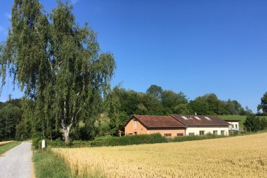 Das Bild zeigt die die Gebäude der Naturschule hinter einem gelben Feld und vor dem Wald unter blauem Himmel. 