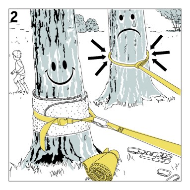  Ein Gurt ist auf einer Schutzunterlage am Baum angebracht.