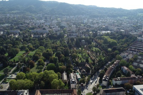 Das Bild zeigt einen hohen und dichten Baumbestand in einem Quartier in Zürich. Um einen stabilen und gesunden Baumbestand zu erhalten, müssen bruchgefährdete und abgestorbene Bäume durch Jungbäume ersetzt werden.