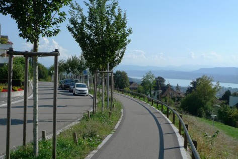 Die Baumreihe mit jungen und gemischten Bäumen an der Freudenbergstrasse. Rechts sieht man den Zürichsee unter dem blauen Himmel. 