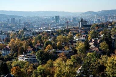 Luftbild zeigt viele Bäume am Zürichberg.