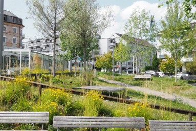 Der sehr grüne kleine Pocketpark mitten in Oerlikon, bepflanzt mit Bäumen und Büschen.