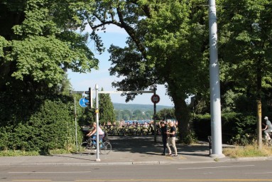 Blick von der General-Wille-Strasse durch das Arboretum zum See