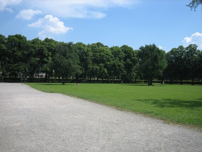 Josefwiese. Volkspark im Industriequartier, intensiv genutzte Spielwiese, begrenzt durch Baumreihe.