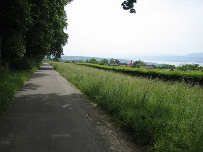 Orellistrasse/-weg. Panoramaweg entlang Waldrand Zürichberg, Asphalt, in Waldsaum zurückversetzte Bänke.