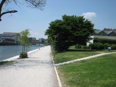 Wipkinger-Park. Promenade mit Treppenstufen zur Limmat, wasserdurchlässiger Belag, angrenzende Grünanlage.