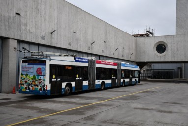 Foto Bus Zürich schaut hin