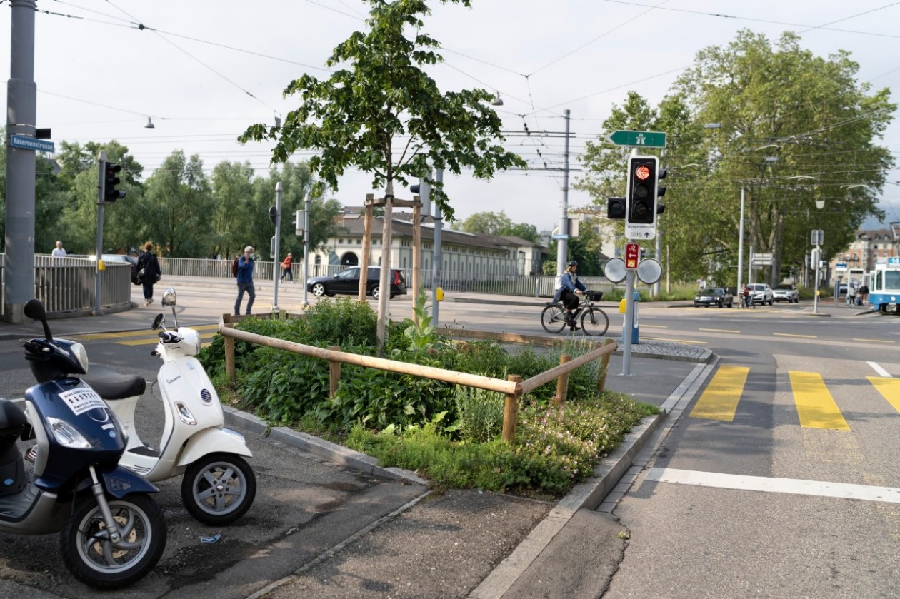Grün Stadt Zürich wird zusätzlich 1200 Jungbäume bis 2023 pflanzen. Fotograf: KEYSTONE, Gaëtan Bally