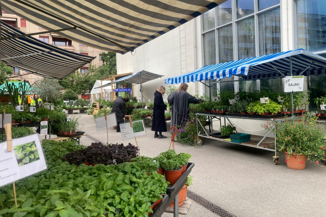 Frühlingsmarkt