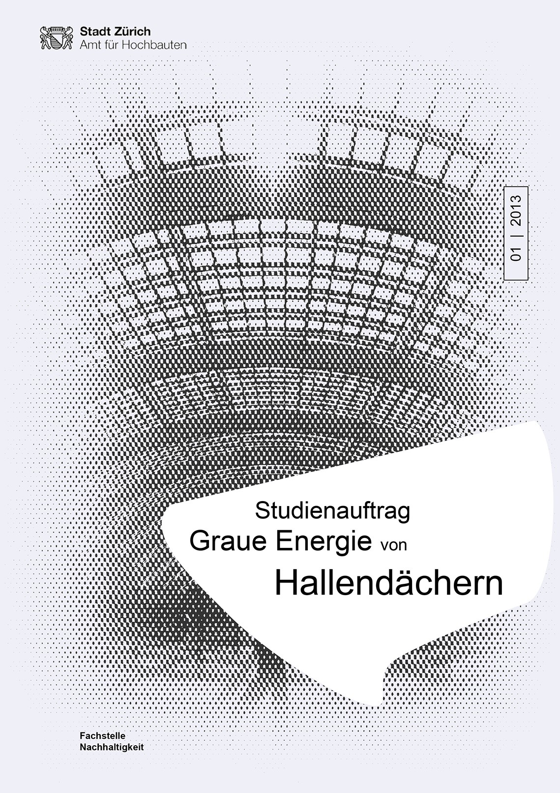Titelseite Studie Graue Energie von Hallendächern