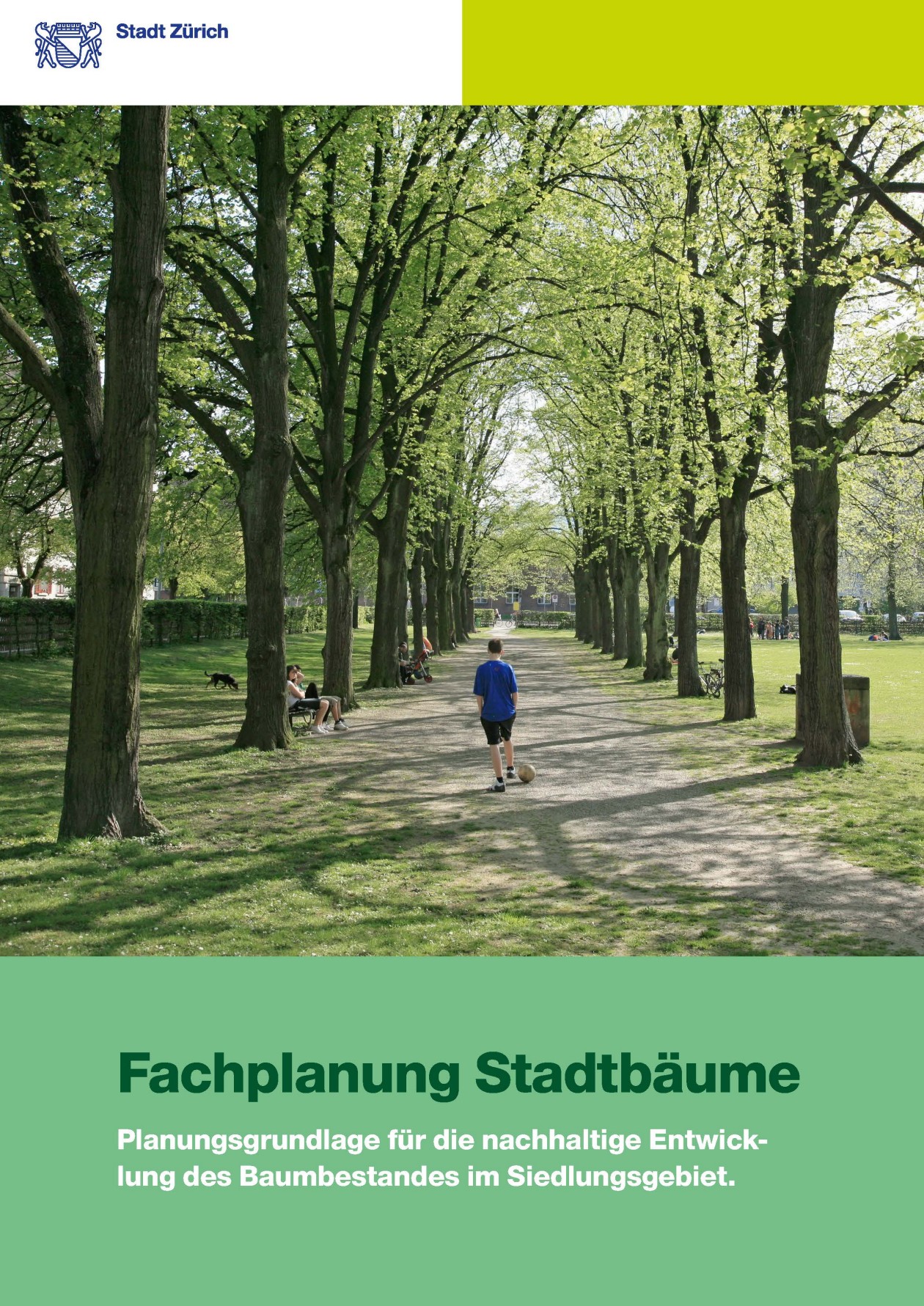 Titelbild Fachplanung Stadtbäume
