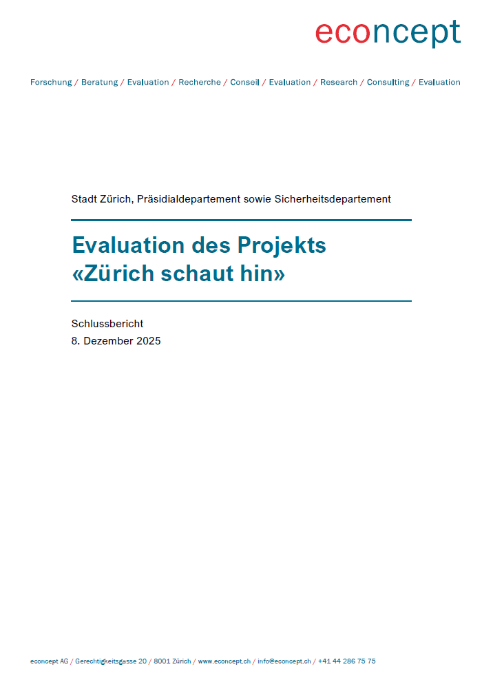 25-12-evaluation-zuerich-schaut-hin-titelbild