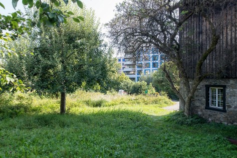 Foto Albisrieden Dorfbach