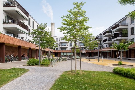 Foto Glattbogen Asig