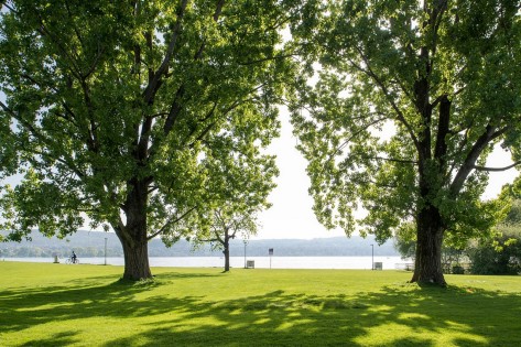Foto Savera Wiese