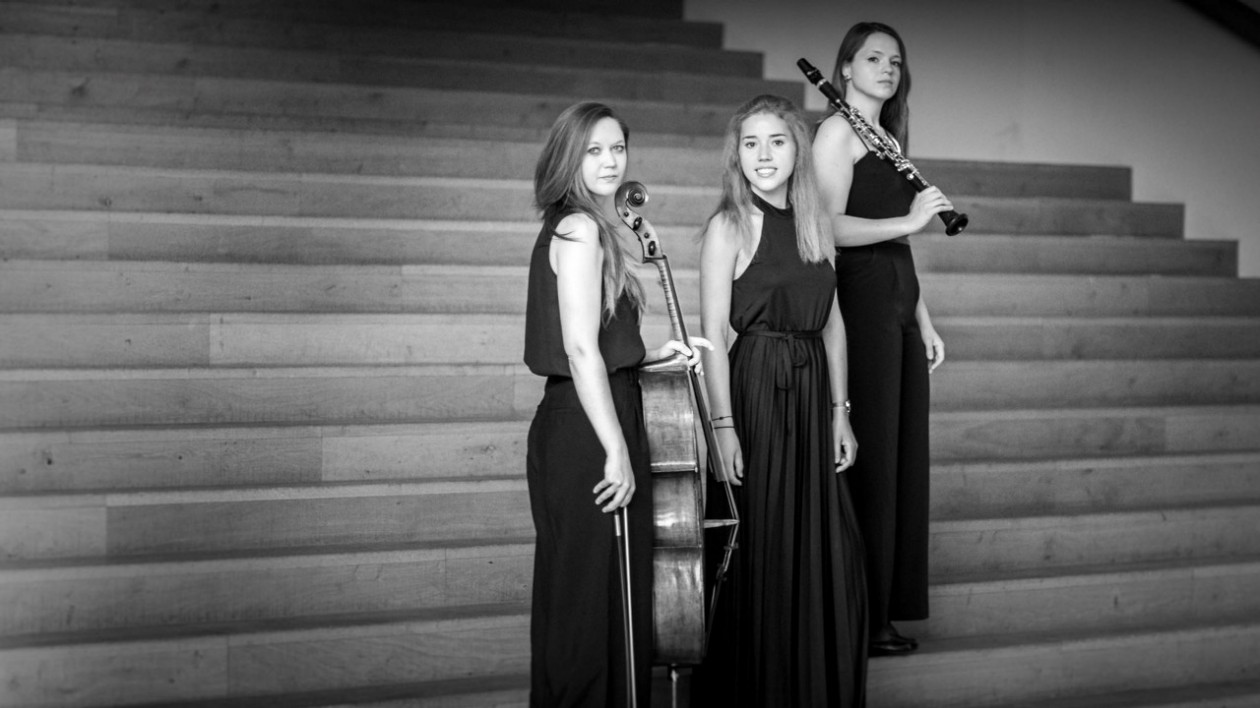 Varga Trio mit Instrumenten