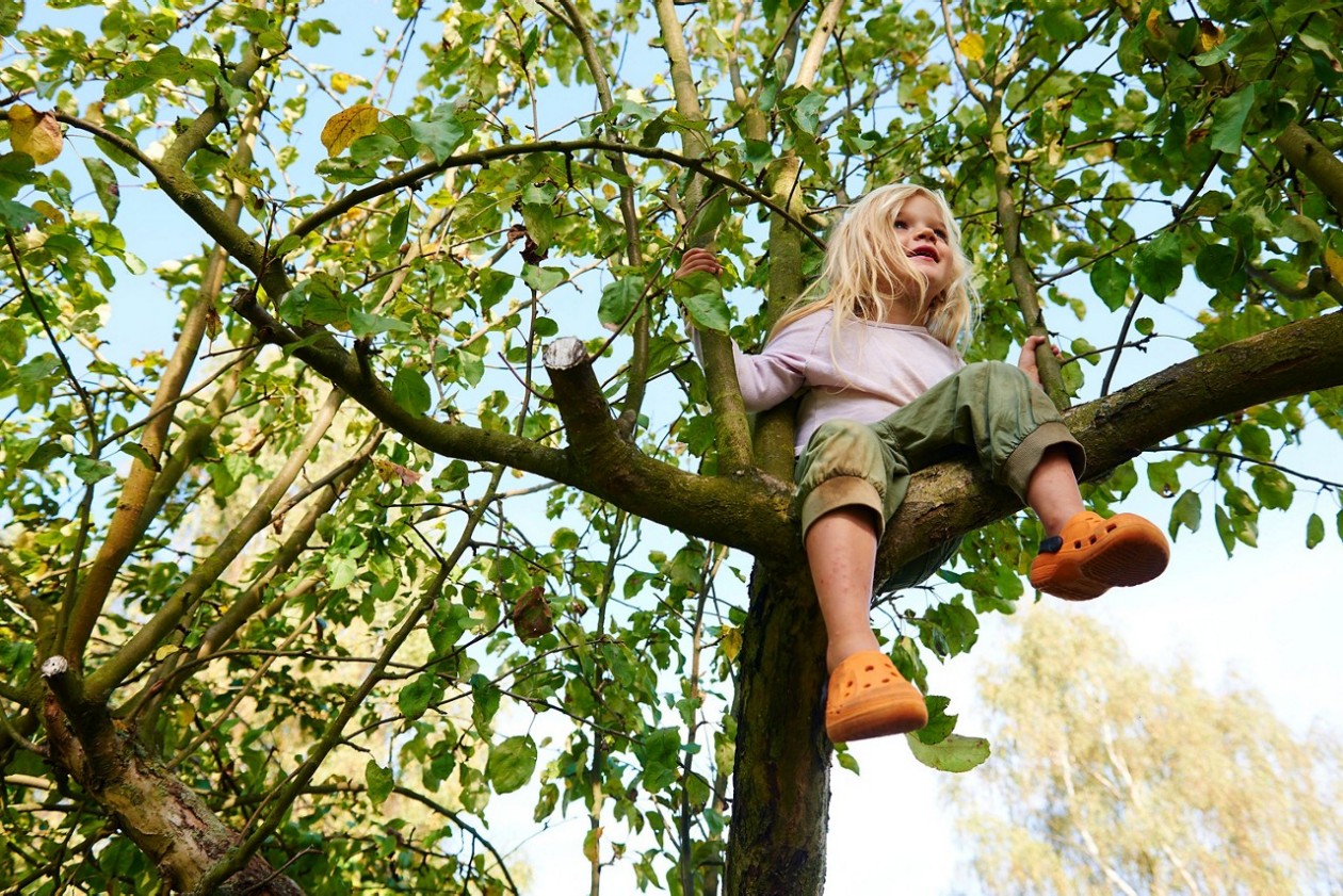 Kind klettert auf einem Baum