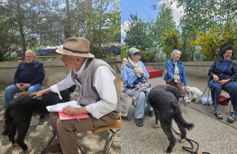 Hunde-Erzählcafé 
