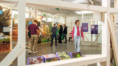 vernetze-natur-rundgang Besuchende schauen sich die verschiedenen Ausstellungsstationen an.