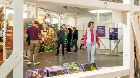vernetze-natur-rundgang Besuchende schauen sich die verschiedenen Ausstellungsstationen an.