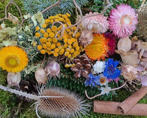 Adventsbasteln Nahaufnahme von getrockneten Blüten, Zapfen und Samen.