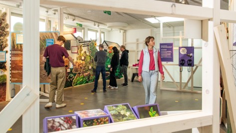 vernetze-natur-rundgang Besuchende schauen sich die verschiedenen Ausstellungsstationen an.