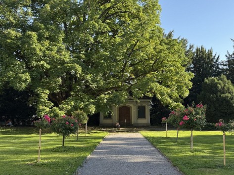 Ein Kiesweg führt zum alten Wasserbrunnen im Beckenhofpark.