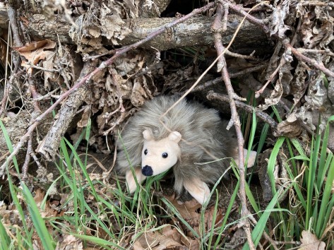 Ein Stofftier-Igel sitzt versteckt unter Ästen und Laub.
