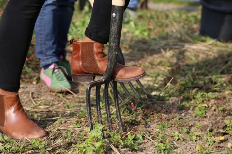 Eine Person sticht mit dem linken Fuss eine Mistgabel in den Boden eines Beetes.