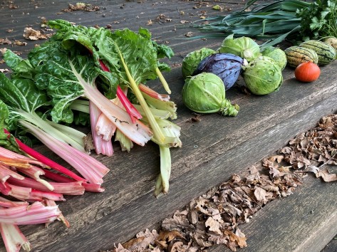 Geerntetes Gemüse und Obst liegen auf einer Holztreppe.