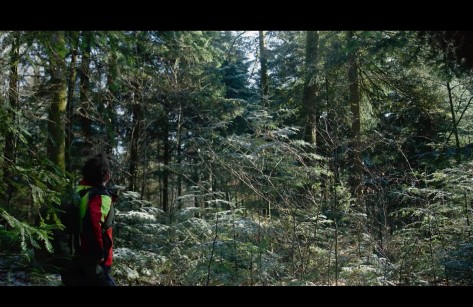 FFF Wälder Standbild einer Filmaufnahme. Eine Forstfachperson steht in einem Nadelwald.
