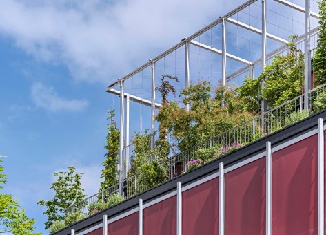 Auf dem Dach eines Gebäudes ranken sich viele Kletterpflanzen an einem Gerüst in die Höhe.