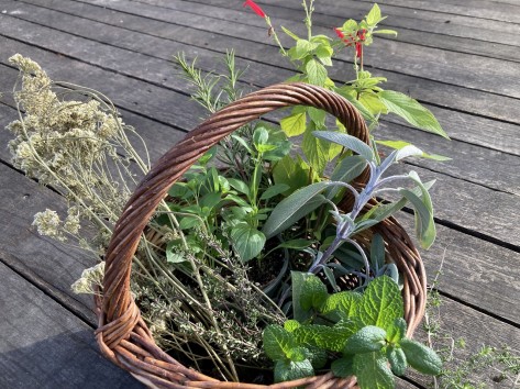 Ein Weidenkorb voller Wildkräuter.