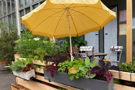 Stadtbalkon in der Stadtgärtnerei