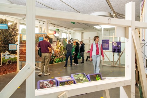 Besuchende schauen sich die einzelnen Stationen im Ausstellungsraum an.