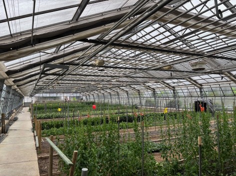 Lange Rohre verlaufen unter dem Dach eines Gewächshauses in der Stadtgärtnerei.