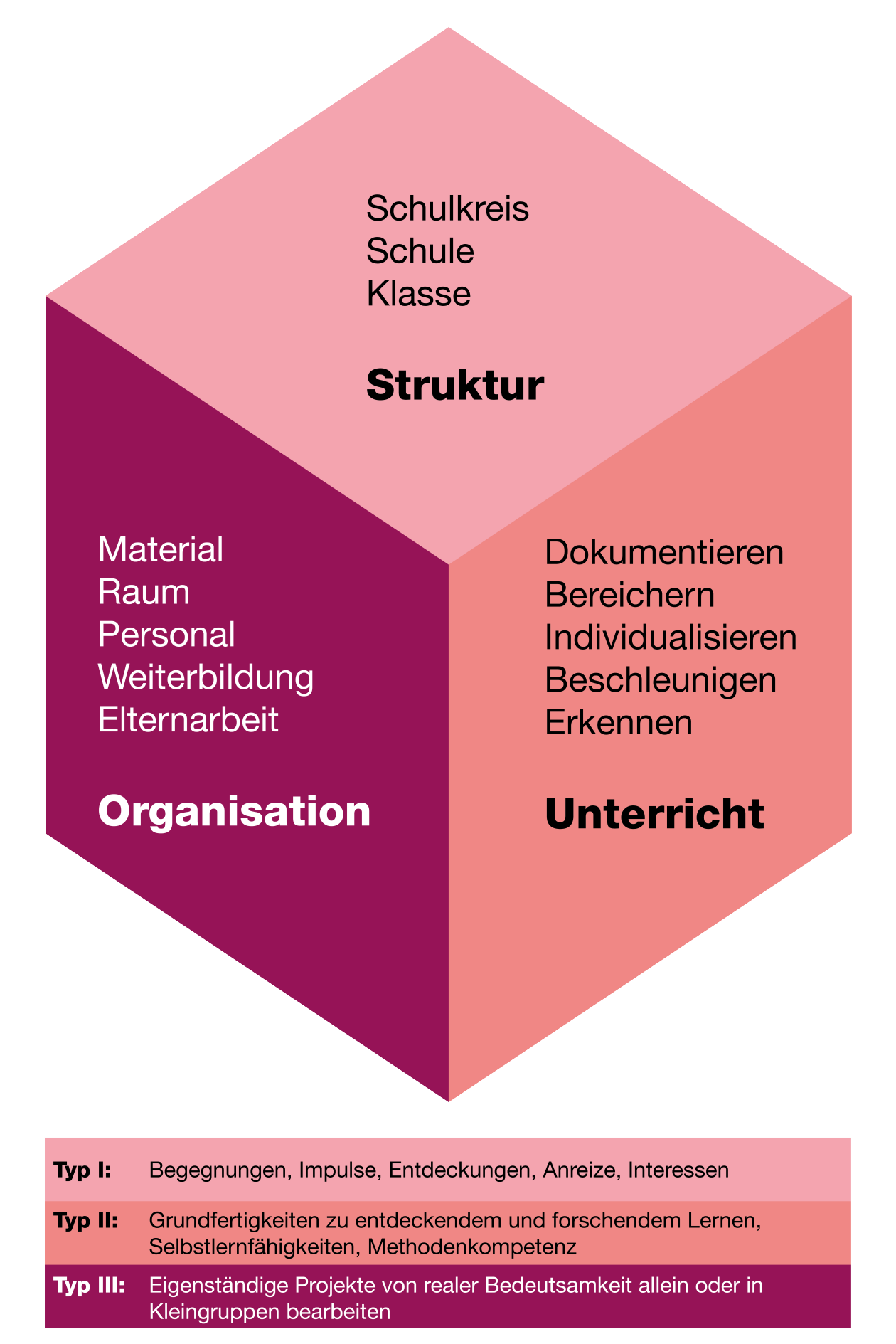 SEM-Würfel: Struktur, Organisation und Unterricht.