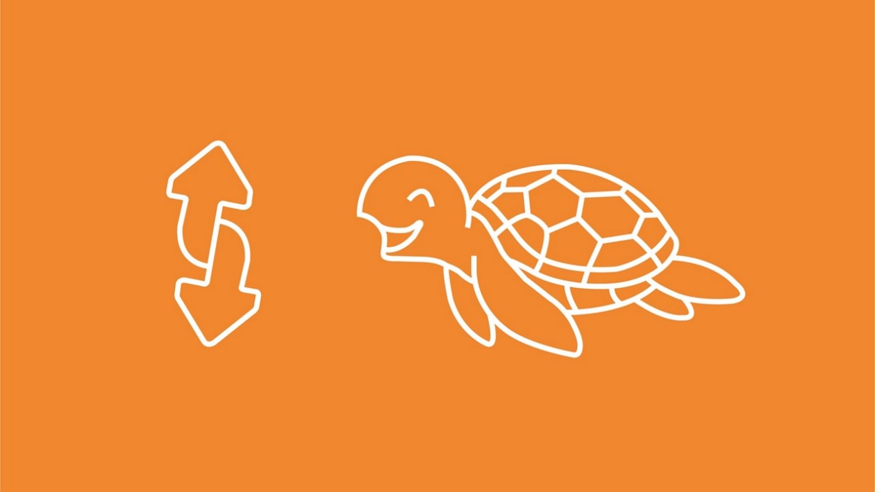 Orange Illustration mit Schildkröte und zwei Pfeilen