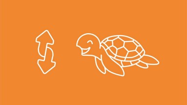 Spielidee Schildkröte Orange Illustration mit Schildkröte und zwei Pfeilen
