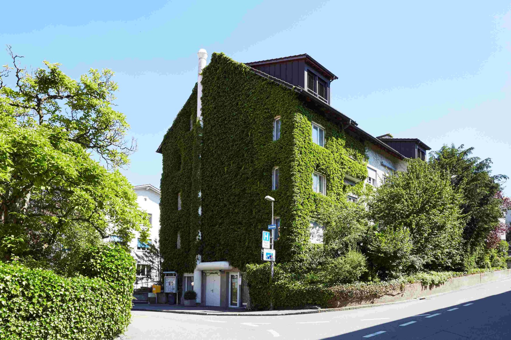 Das zu grossen Teilen mit Efeu überwachsene Wohnhaus