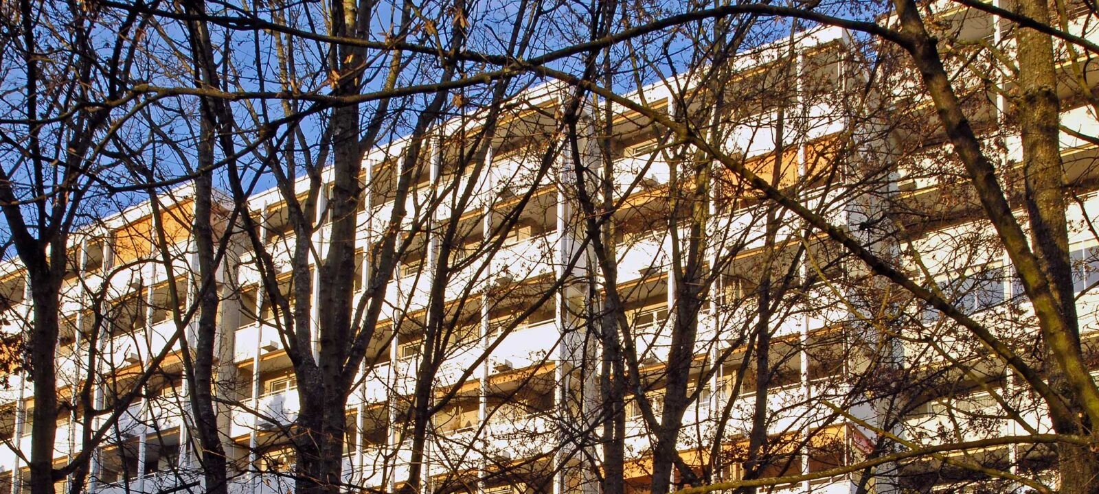 Hinter Bäumen ist die Fassade des Gebäudes zu sehen